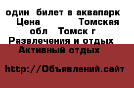 один  билет в аквапарк. › Цена ­ 1 000 - Томская обл., Томск г. Развлечения и отдых » Активный отдых   